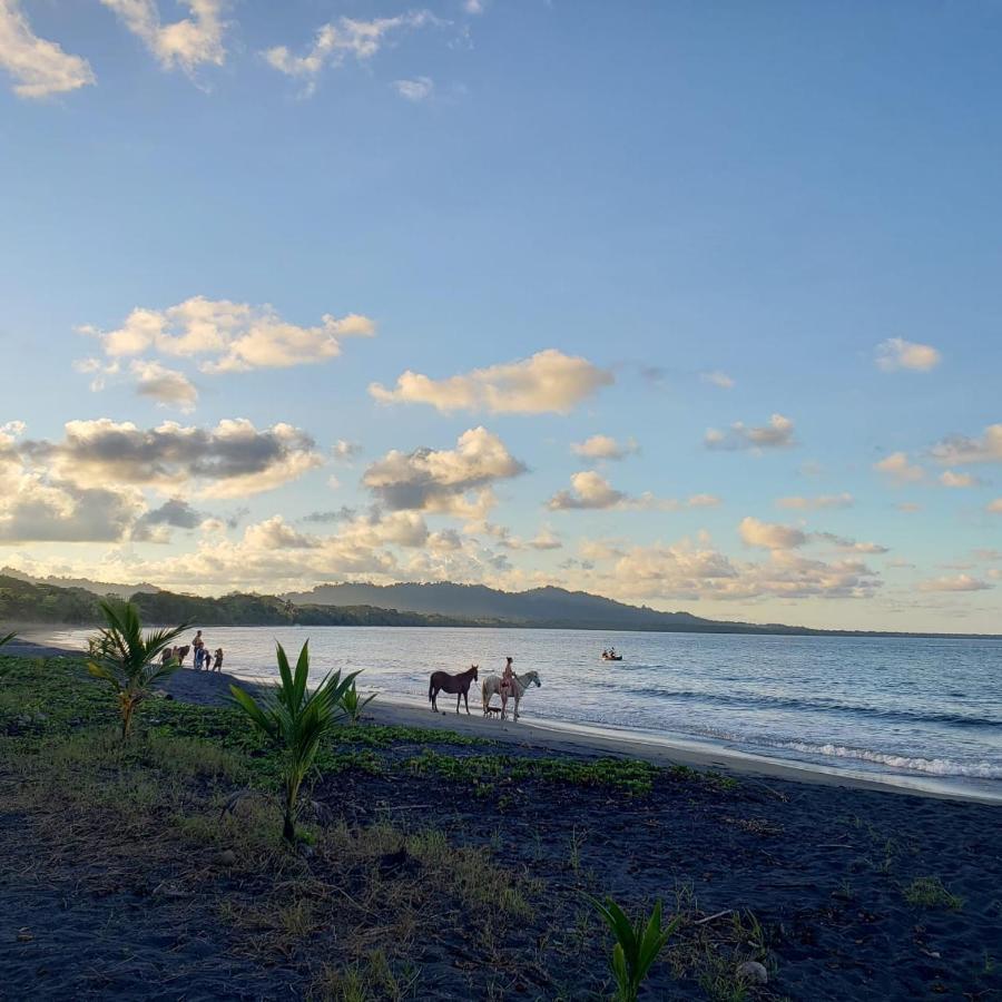 Playa Negra Brewing Beachfront Hotel Puerto Viejo de Talamanca Luaran gambar